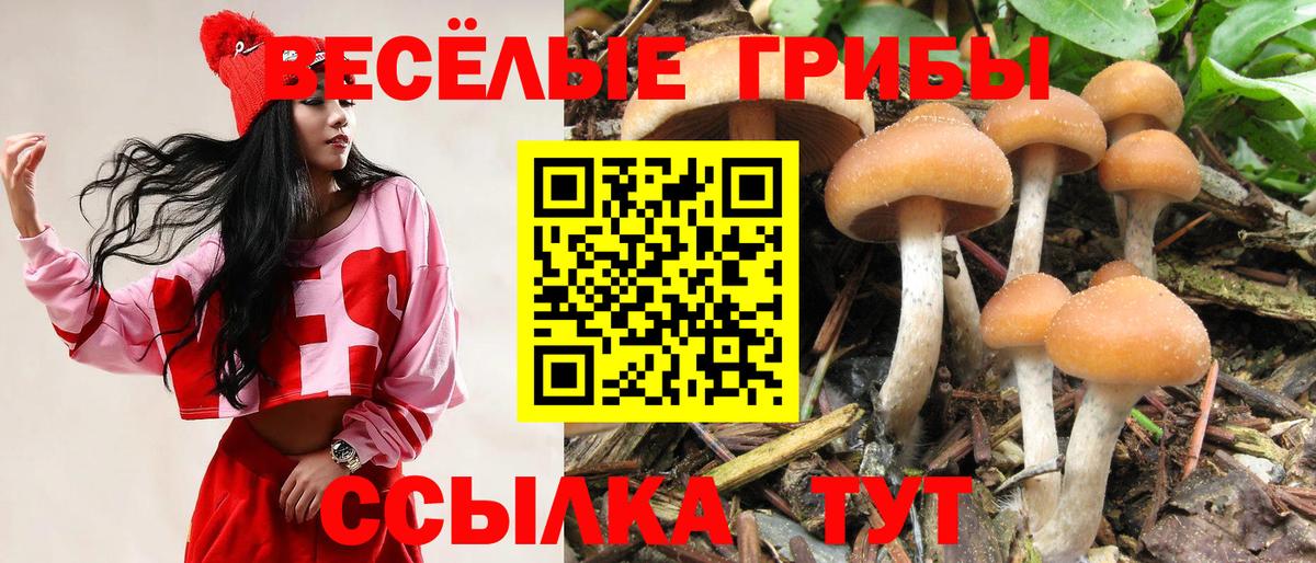 Бугуруслан  Галлюциногенные грибы GOLDEN TEACHER  Вход с VPN 